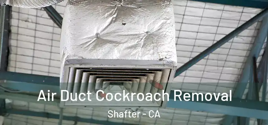  Air Duct Cockroach Removal Shafter - CA
