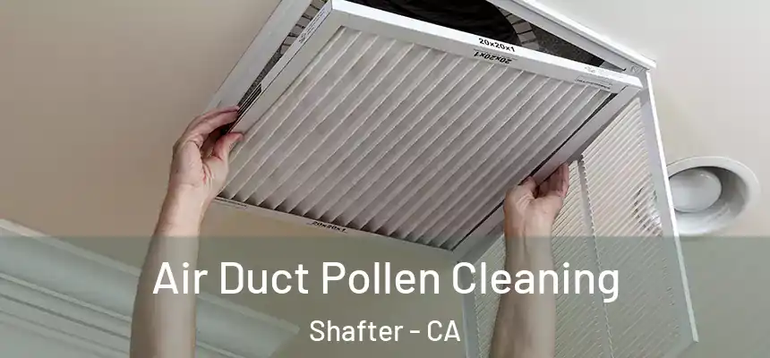  Air Duct Pollen Cleaning Shafter - CA
