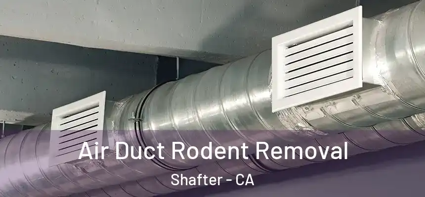  Air Duct Rodent Removal Shafter - CA