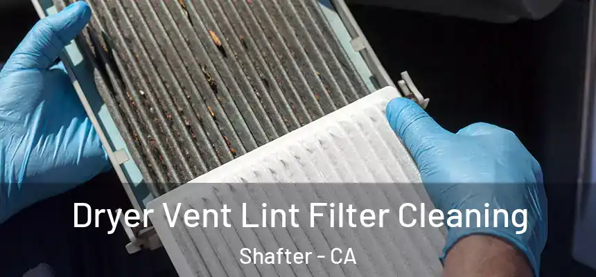  Dryer Vent Lint Filter Cleaning Shafter - CA