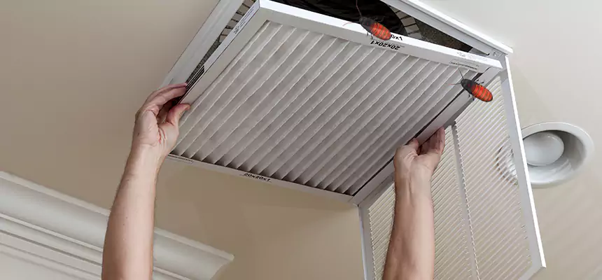 Our Insect Removal from Air Ducts Services in Shafter, CA