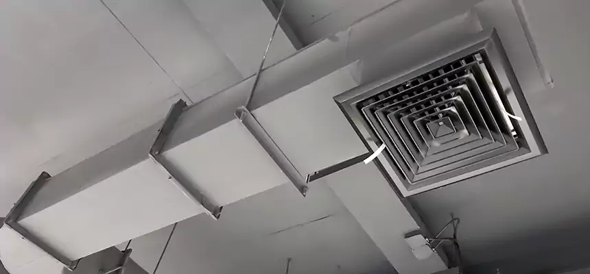 Our Pest Removal From Ducts Services in Shafter, CA