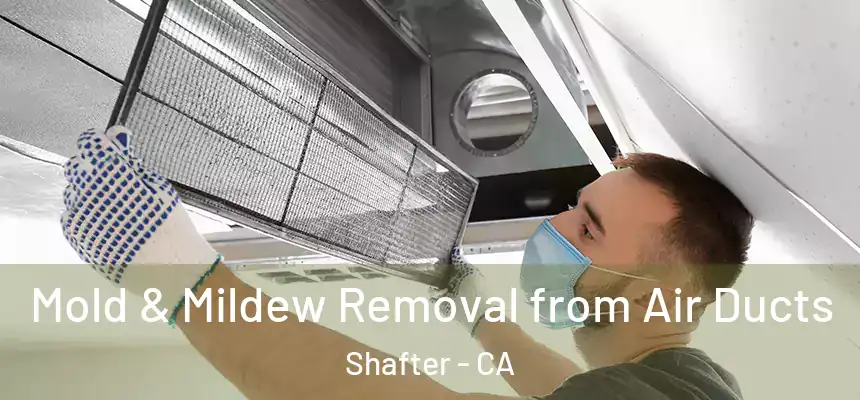  Mold & Mildew Removal from Air Ducts Shafter - CA