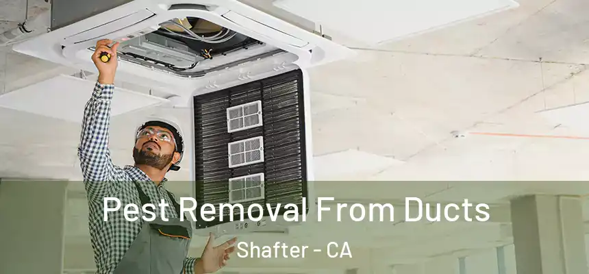  Pest Removal From Ducts Shafter - CA