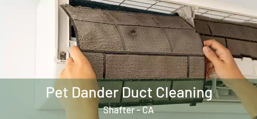  Pet Dander Duct Cleaning Shafter - CA