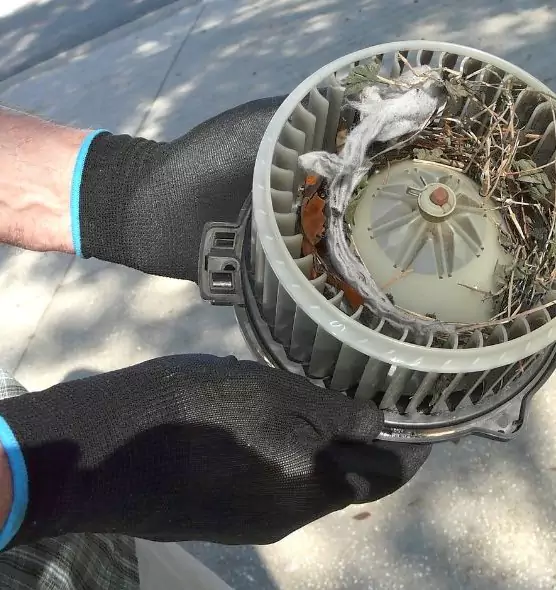 About Air Duct Rat Removal in Shafter, CA