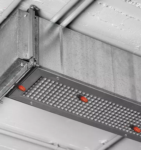 Affordable Insect Removal from Air Ducts in Shafter, CA