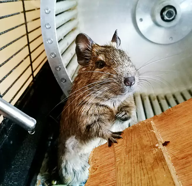 Why Homeowners & Businesses Trust Us Shafter, CA?