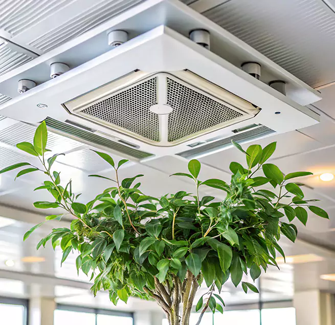 Why Homeowners & Businesses Trust Us in Shafter, CA